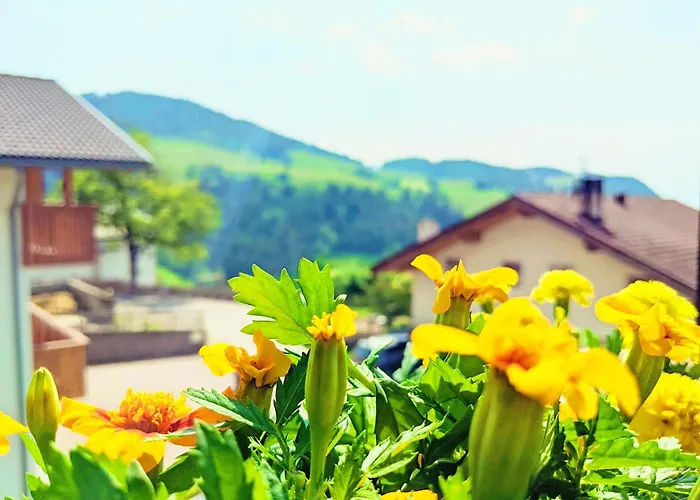 Vidora Apartments - Dolomites Escape In Alpe Di Siusi