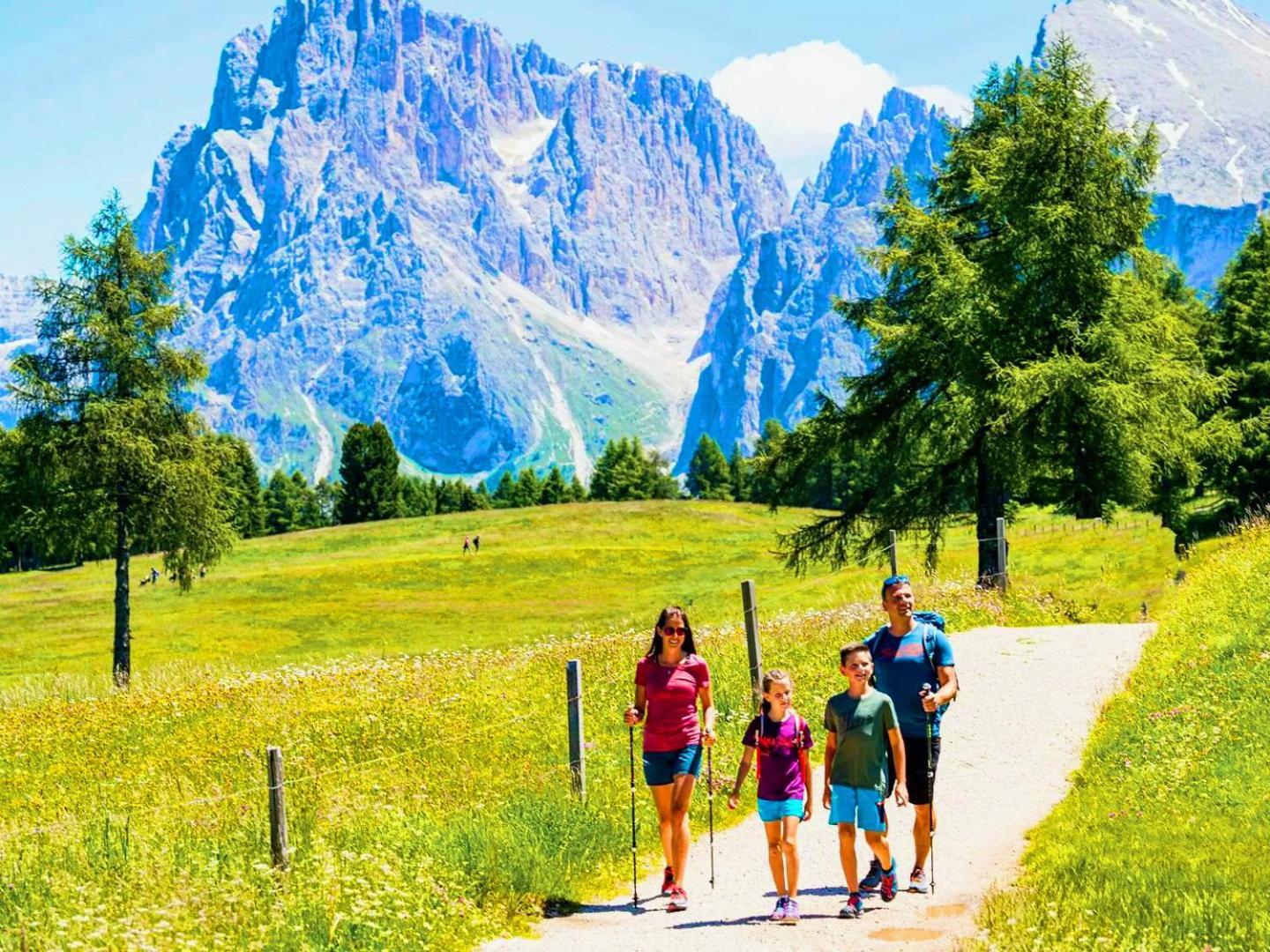 Vidora - Dolomites Escape In Alpe Di Siusi Apartment *