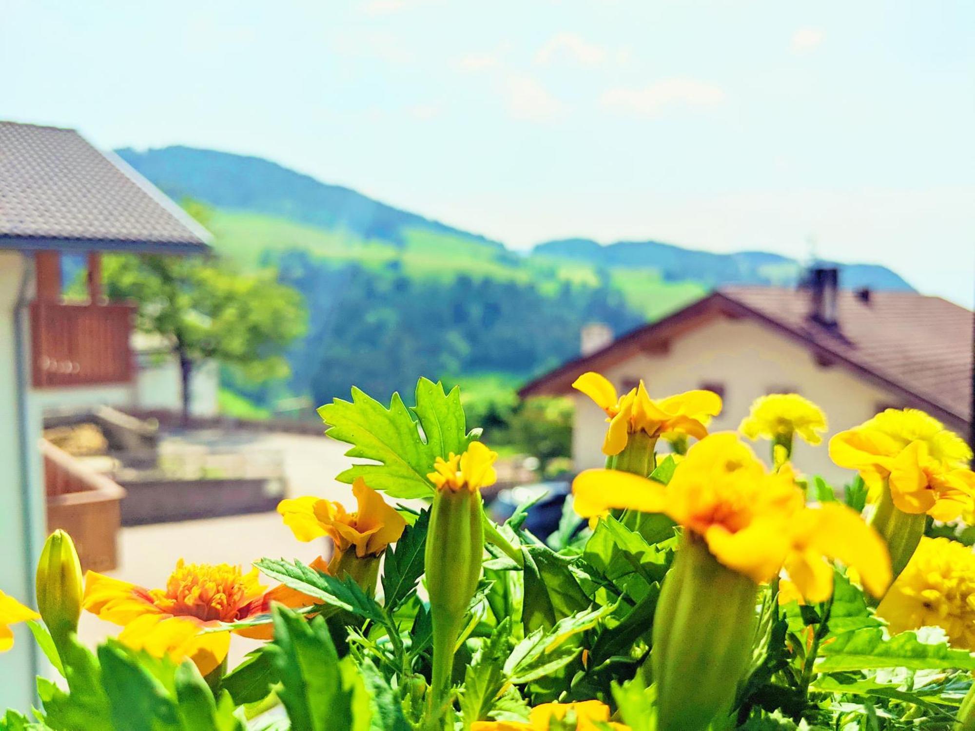Apartment Vidora - Dolomites Escape In Alpe Di Siusi Fie allo Sciliar